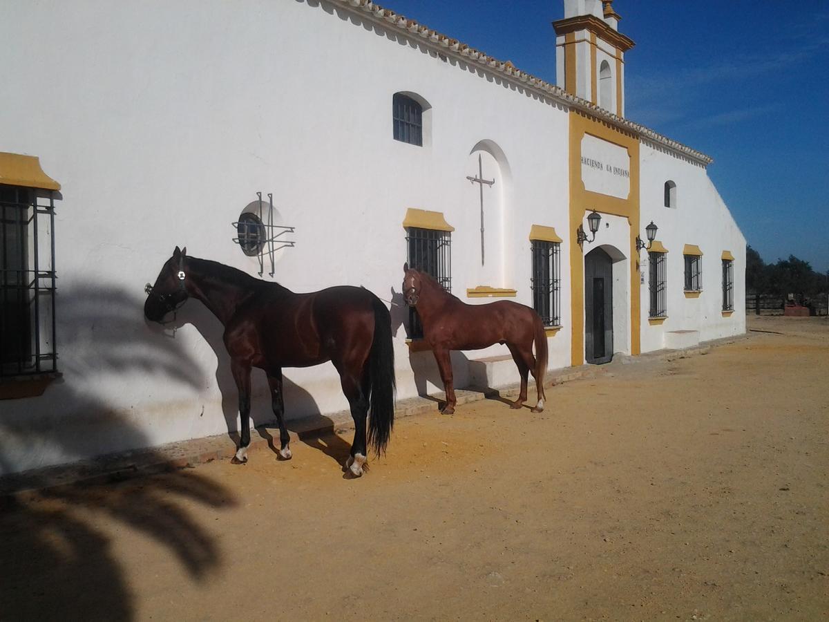 Hacienda La Indiana Hotel Los Palacios Y Villafranca Ngoại thất bức ảnh